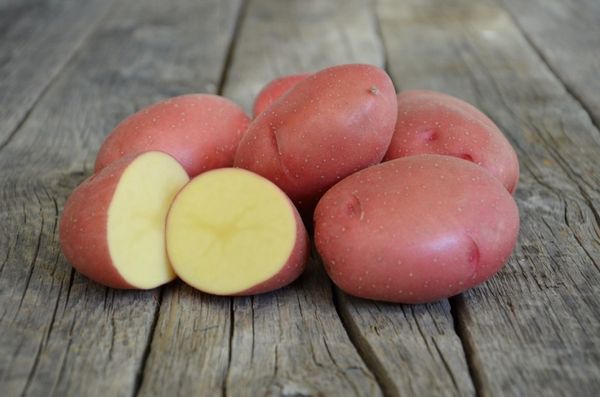  Patatas variedad Rosara